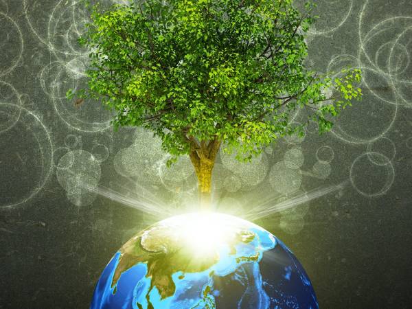 Holotropic Breathwork Workshop in ANTWERPEN (B) 25th - 27th July 2025