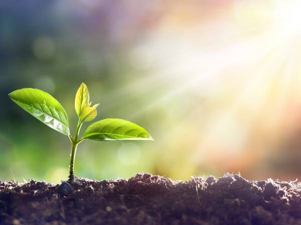 Holotropic Breathwork Workshop in Antwerpen (B) 29th - 31st Mai 2026