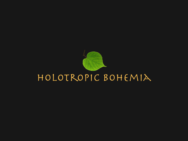 Holotropic Breathwork Weekend in Prague, January 24th - 26th 2020