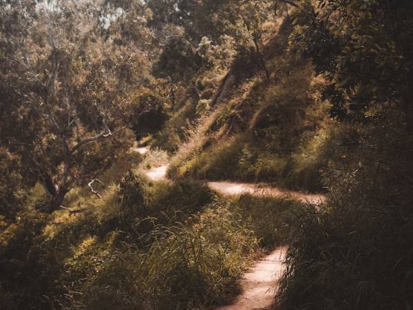 Naarm (Melbourne) February 2026 Two-Day Holotropic Breathwork Workshop