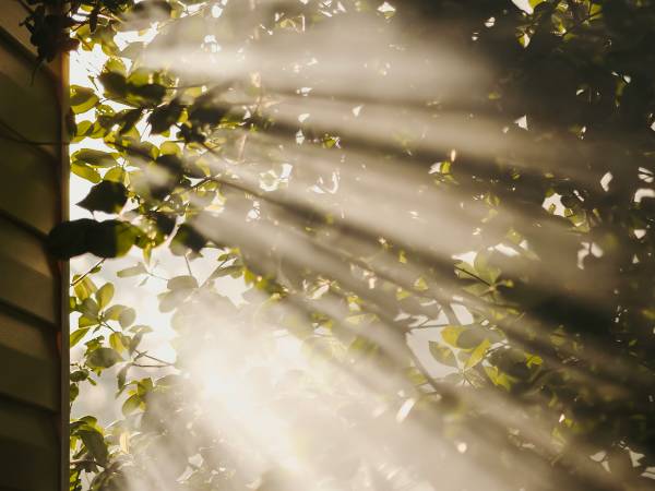 5 Day Module - The Expanded Self: Exploring Grief, Death, and the Afterlife