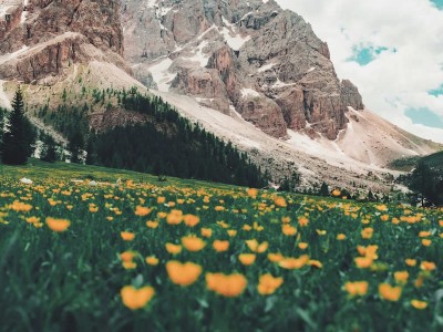 The Tranquil Symmetry: Breathwork Meets Music
