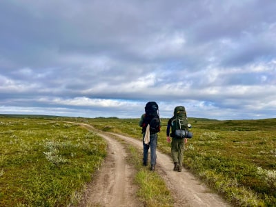 Healthy Masculinity: The Power of Men's Groups in Collective Healing