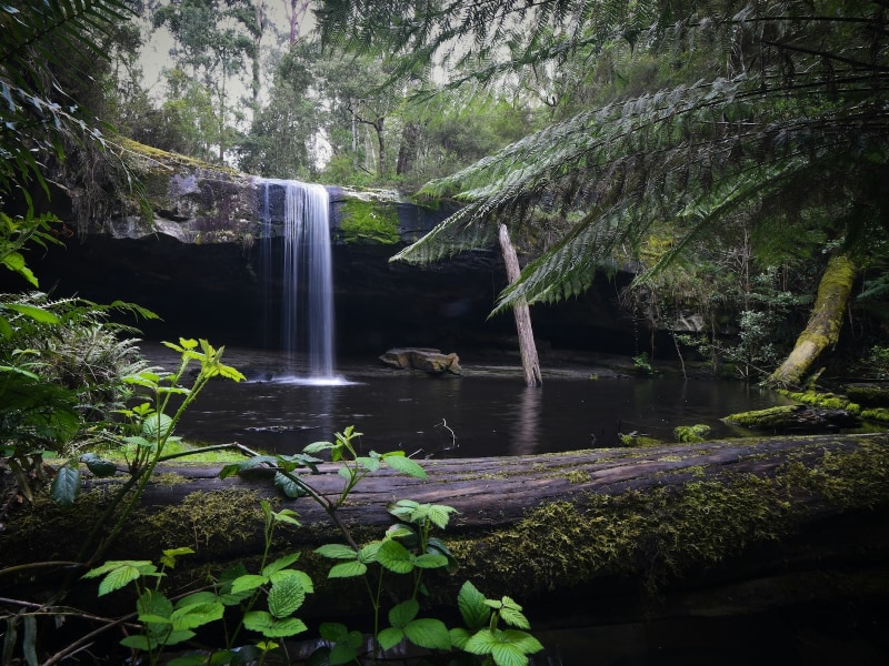 Sessions now available on the Surf Coast