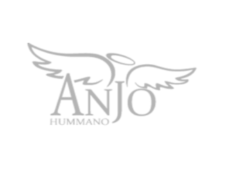 ANJO HUMANO - CONSULTORIA EM DESENVOLVIMENTO HUMANO PROFISSIONAL