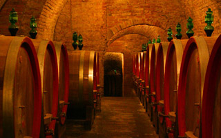 cellar-1 us