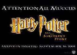 Harry Potter Casting Call