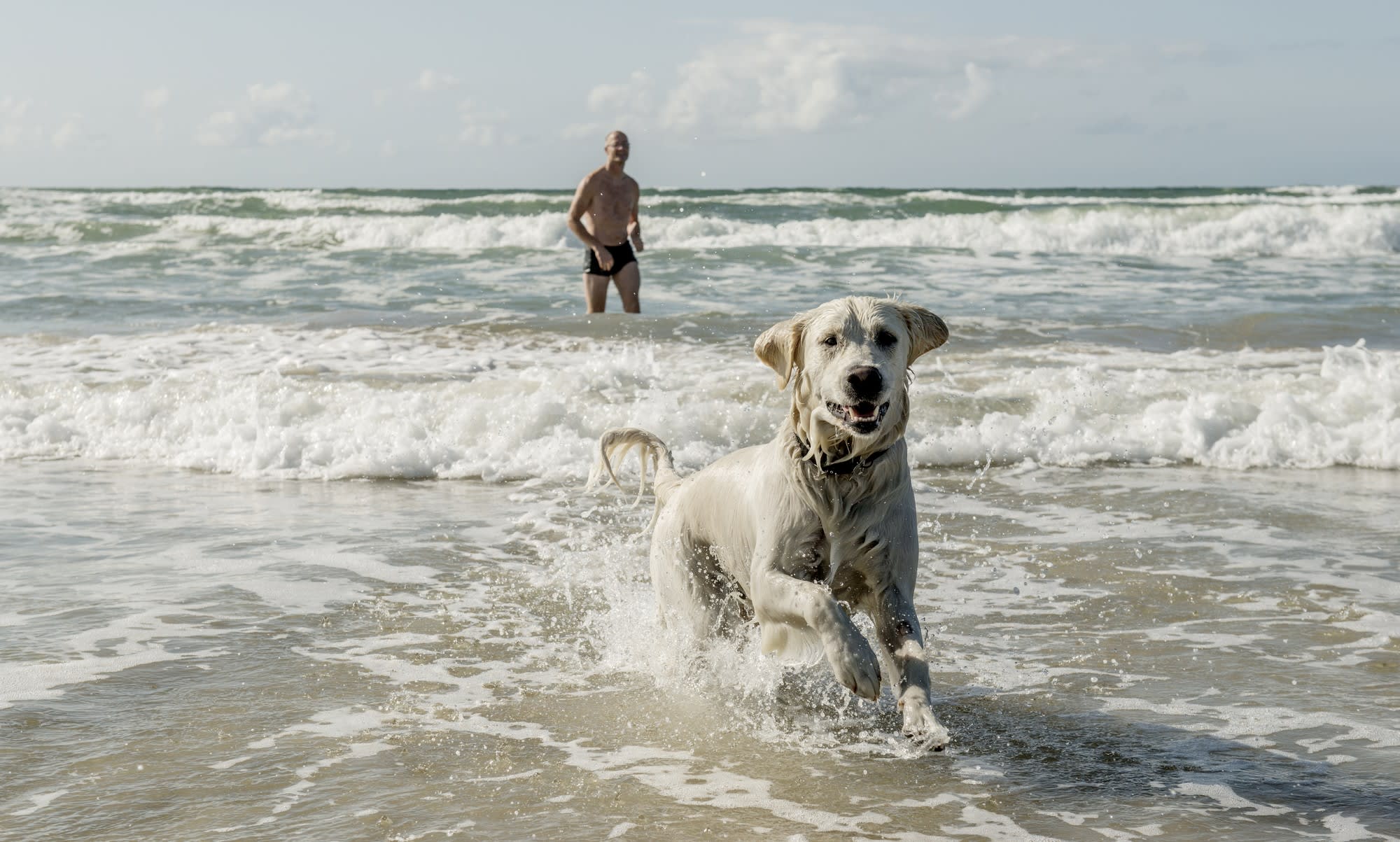 Urlaub in Dänemark mit dem Hund Ferienhaus am Strand