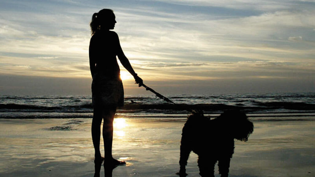 Urlaub in Dänemark mit dem Hund Ferienhaus am Strand