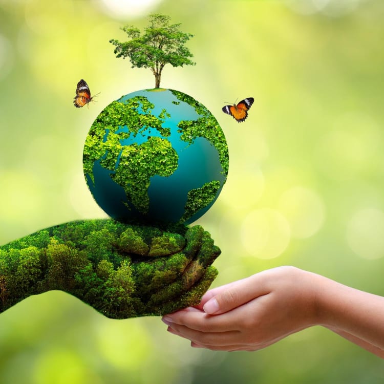 This is the heart of Teffiti, a spin off of Moana!!!!!!!!!!!!!!!!!!!!!!!!!!!!!!!!!!!!!!!!!!  series image