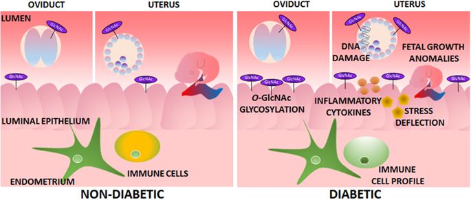 Source: Springer nature