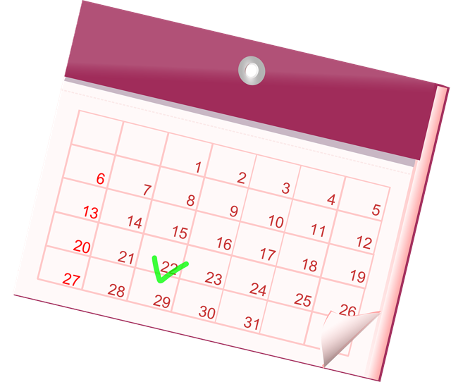 When Is Ovulation In The Menstrual Cycle?