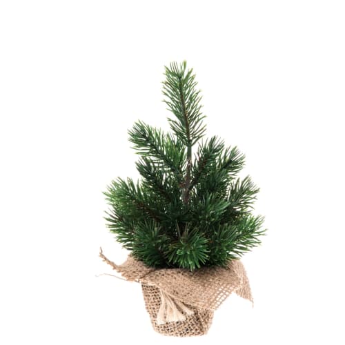 Juletre Minigran i jutepotte 22 cm