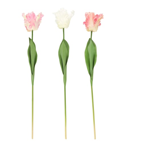 Blomst papegøyetulipan ass farge 66cm