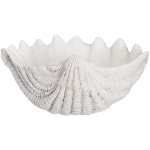 Hagedekorajon Skjell