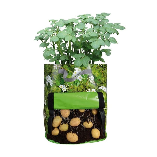 Plantepose for poteter