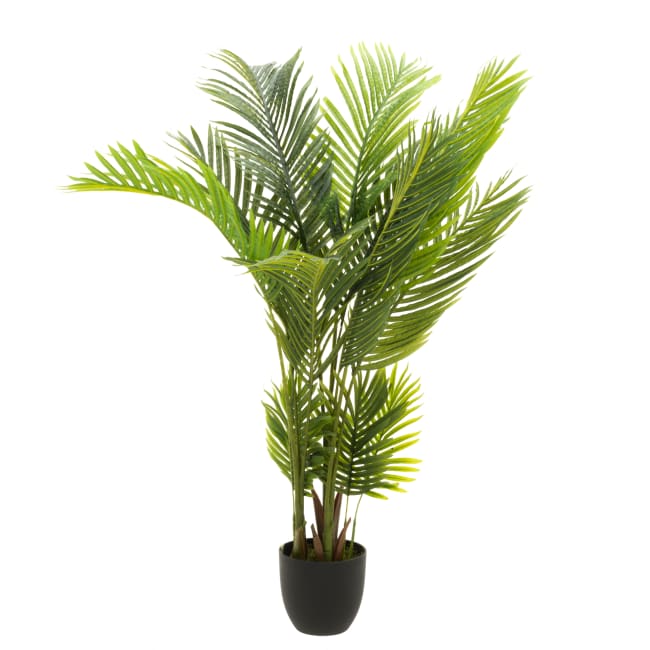 Plante kentiapalme 140cm