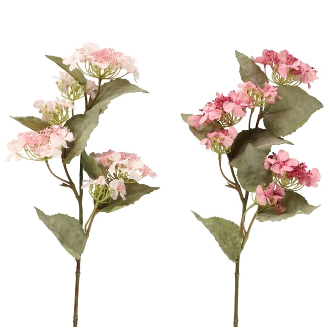 Plante Hortensiagren 68 cm Assortert