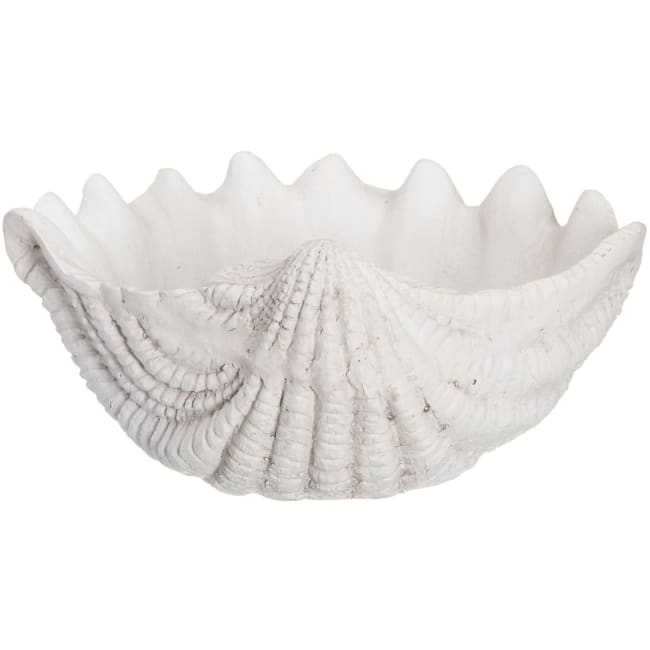 Hagedekorajon Skjell