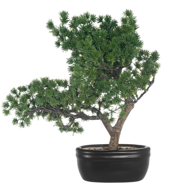 Plante Bonsaitre 35 cm med potte