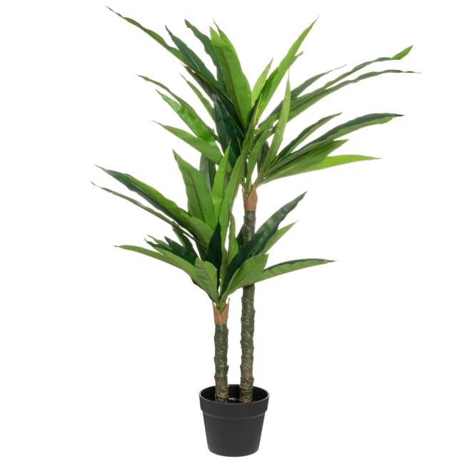 Plante Yucca i potte 100cm