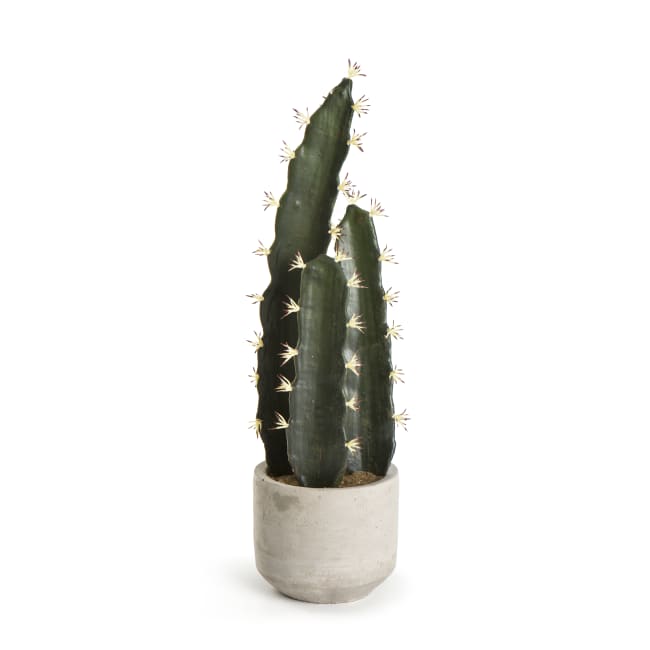 Dekorkaktus Evig m/sementpotte 44,5 cm