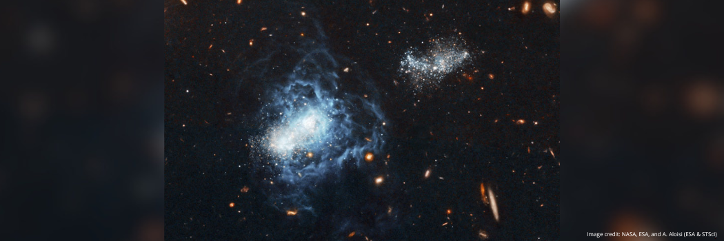 Durham University researcher connected with a Royal Society fellowship on the early Universe