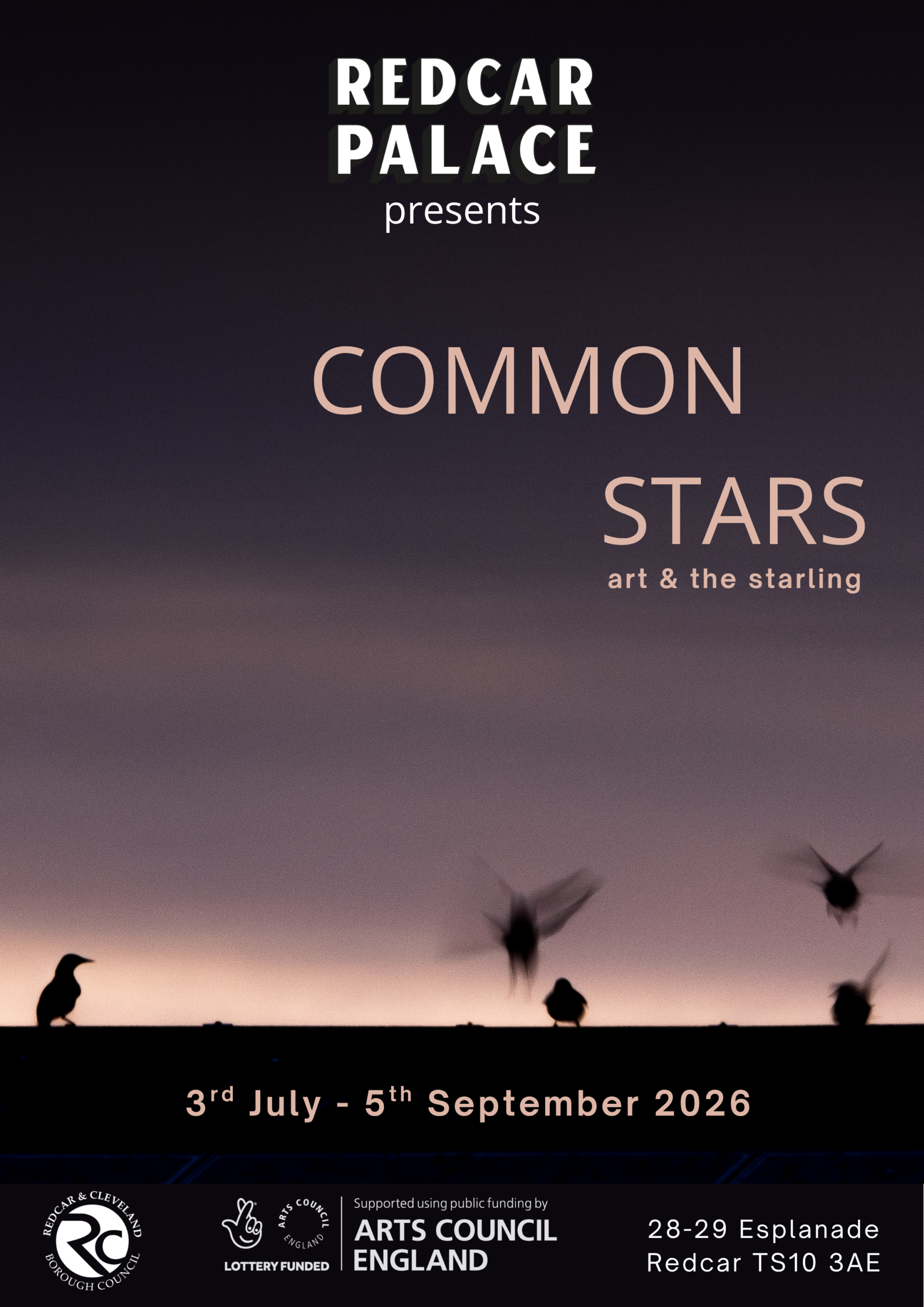 Poster for Common Stars: Art and the Starling