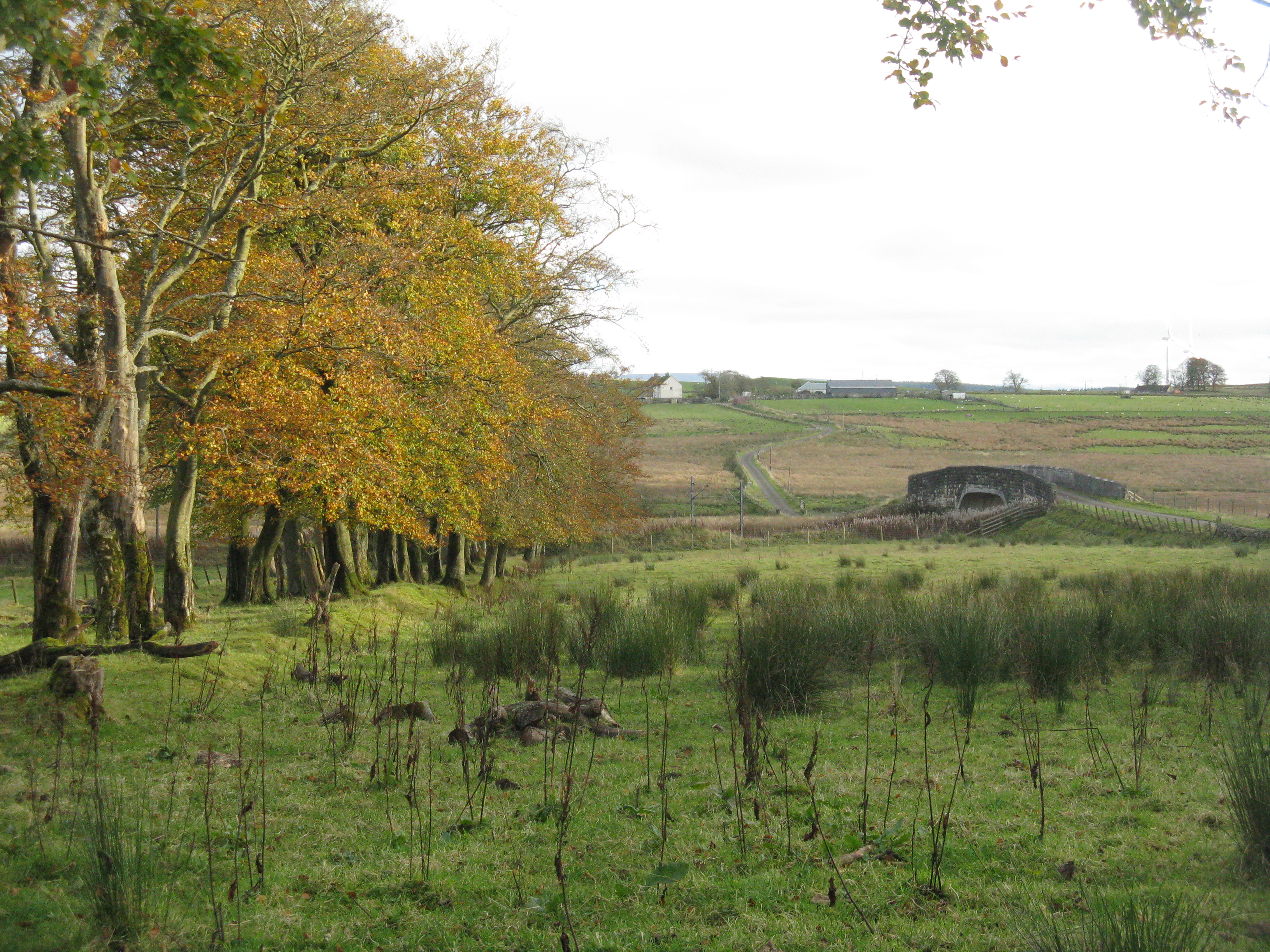 Rural South Lanarkshire landscape near Carnwath, with fields and woodland.