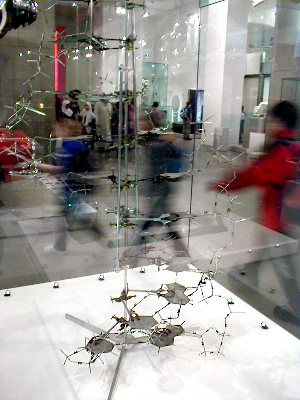 A DNA model on display; illustrative image for the genetics study.