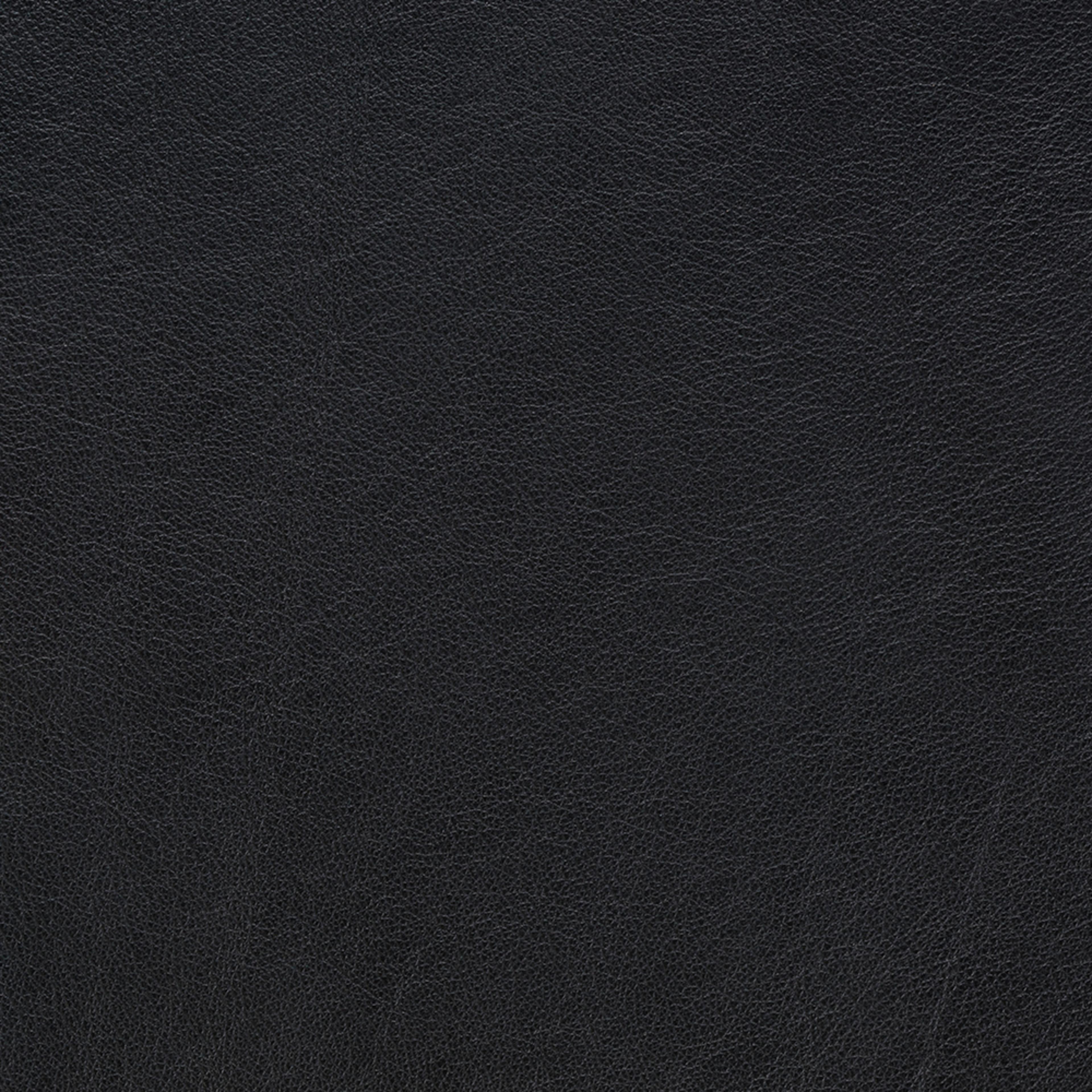 Omni 301 black Leather Sample Fredericia Furniture