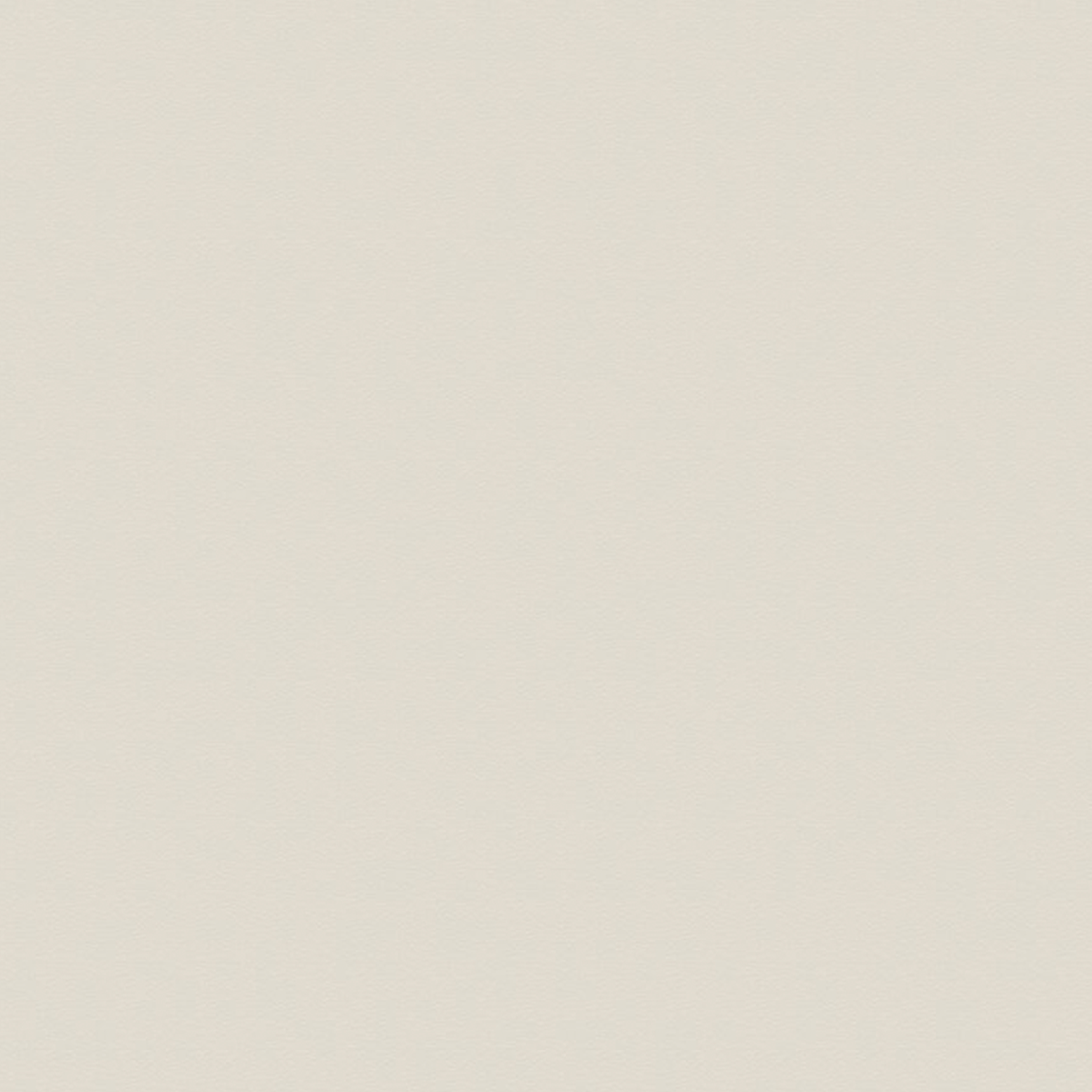 4176 mushroom A4 CMYK 300dpi.png