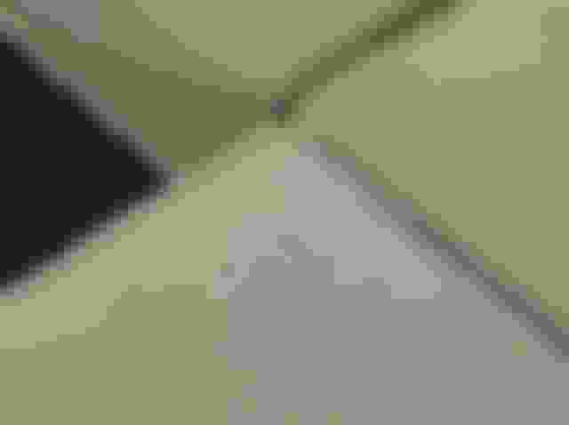 Delphi Elements - Keiga 242