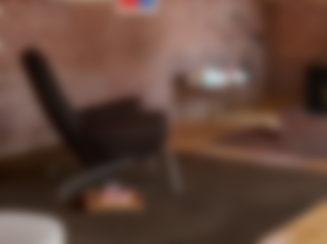 Wegner Queen Chair - Vidar 386 / Max Dark 96 Brown / Stel i børstet stål