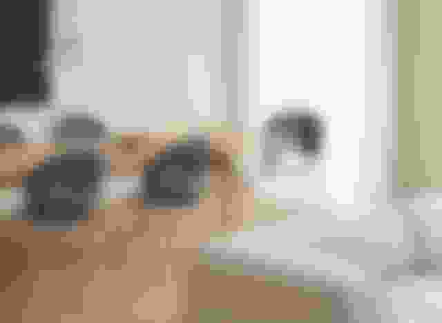 TrinidadIndigoBlue_PostTable_DelphisteelcutTrio_landscape.jpg