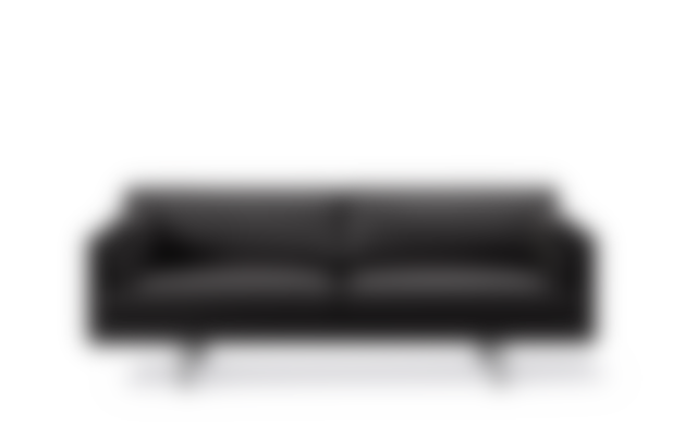 EJ220 Sofa - Leather 301 Omni / Børstet krom