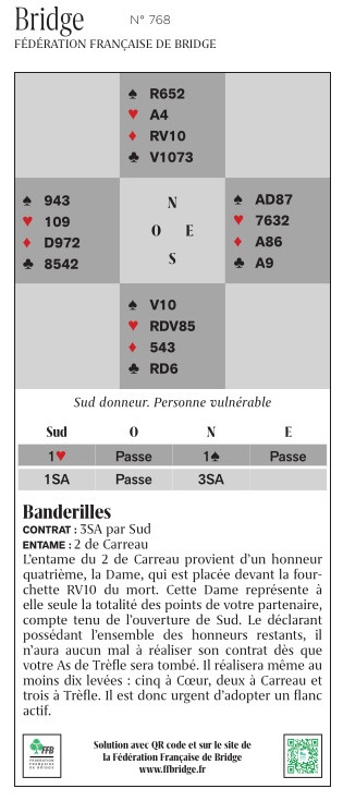 SP768_BANDERILLES.jpg