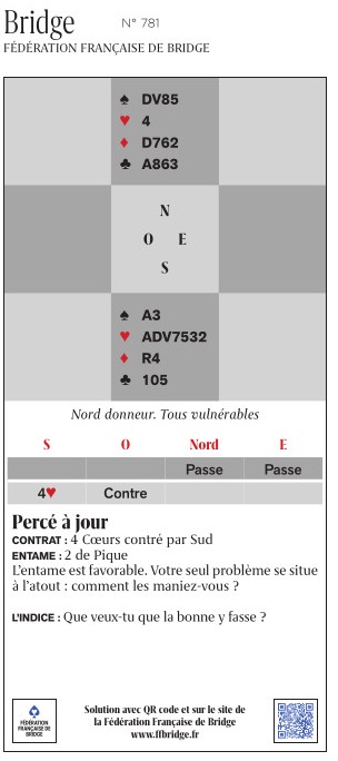 P781_PERCE_A_JOUR.jpg