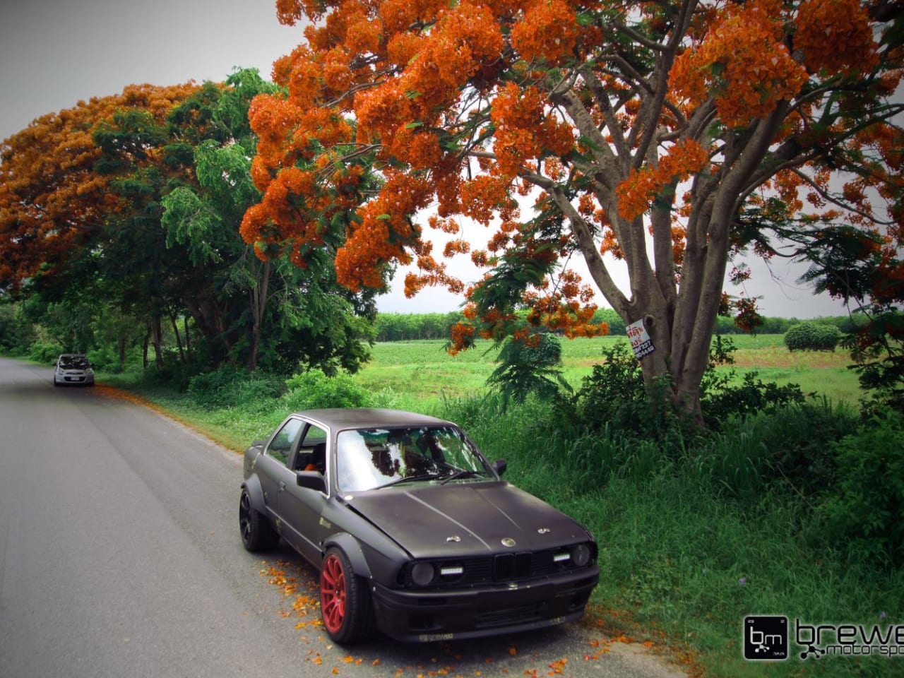 1988 BMW E30 - image 5