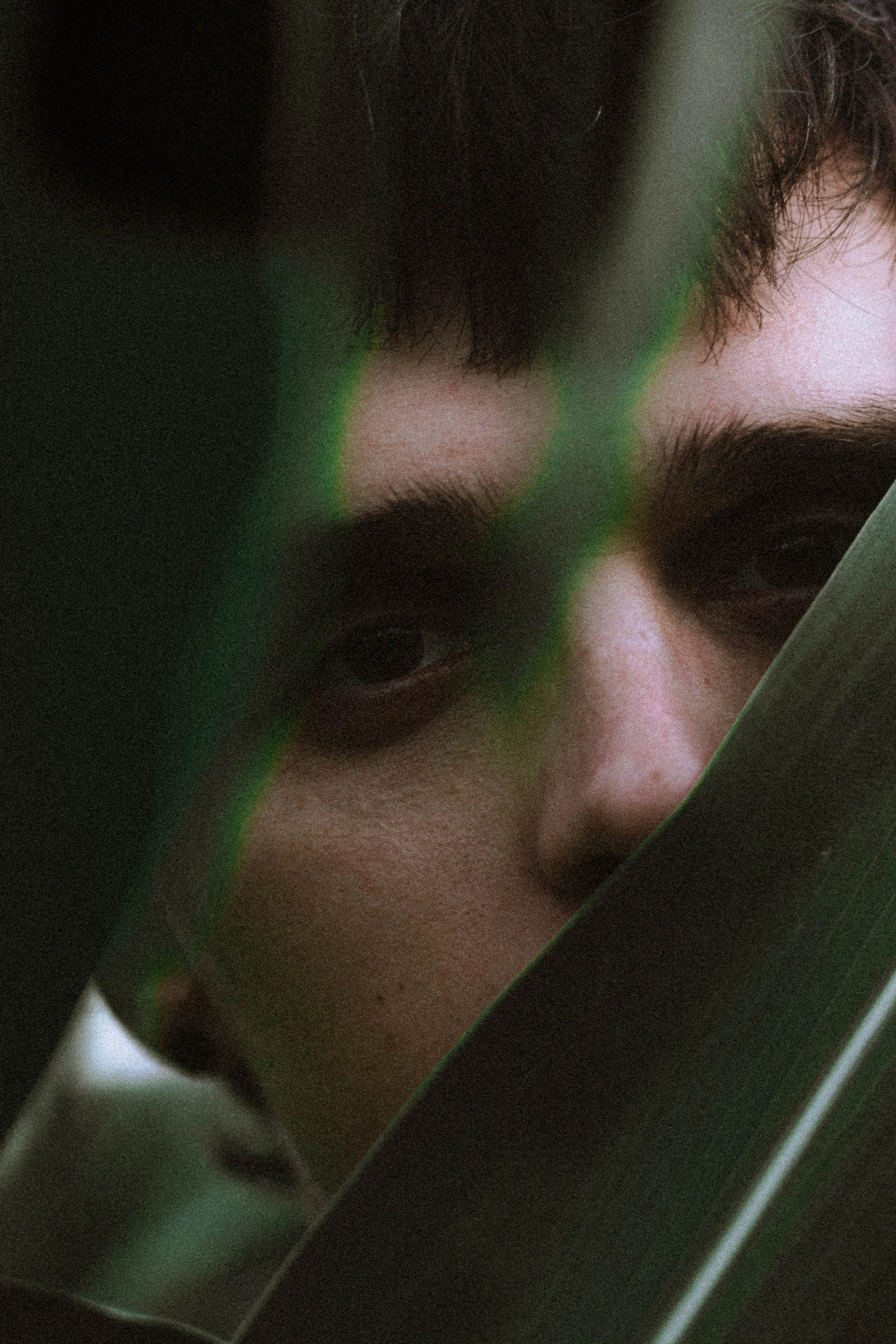 Пример фотографии 1