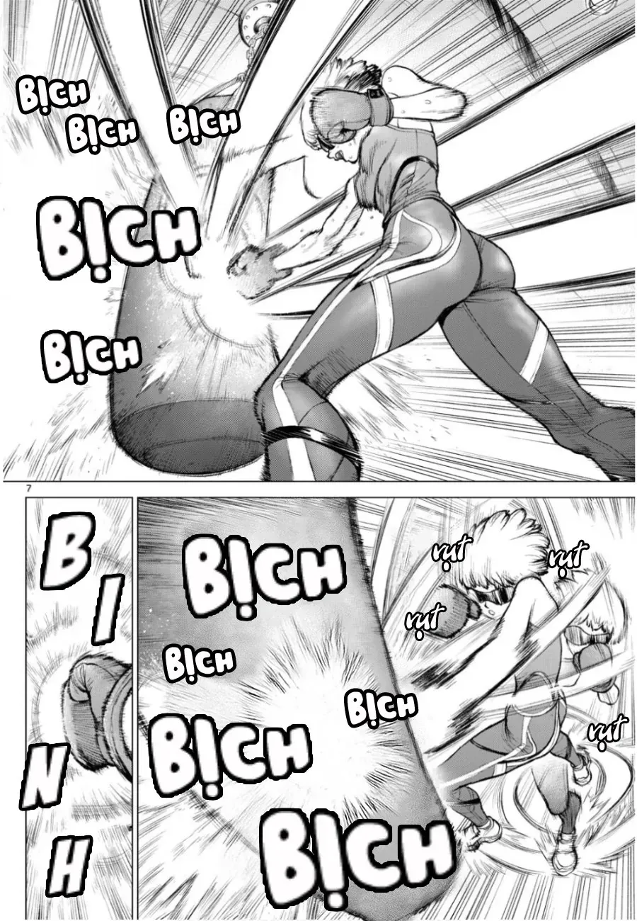 Chapter 1146.5 - 10