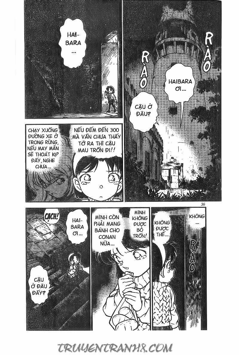 Chapter 203 - 6