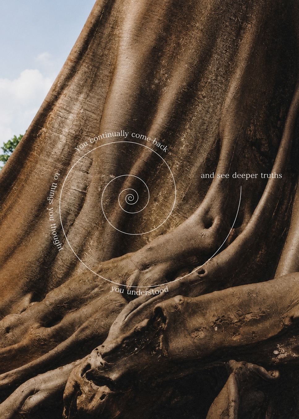 Perpetua — a tree, symbol of rootedness and continuity