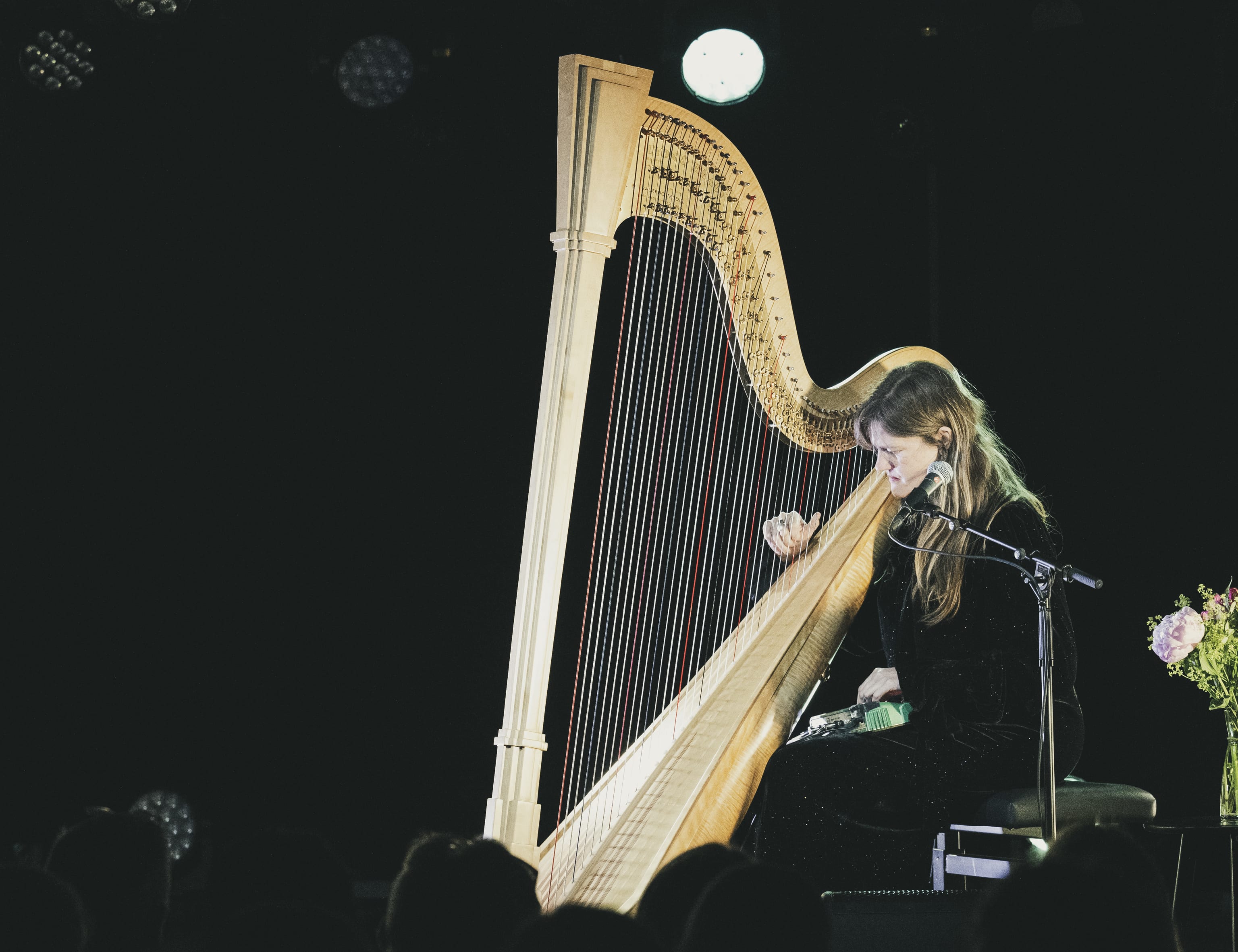 Mary Lattimore. Foto: Thor Brødreskift