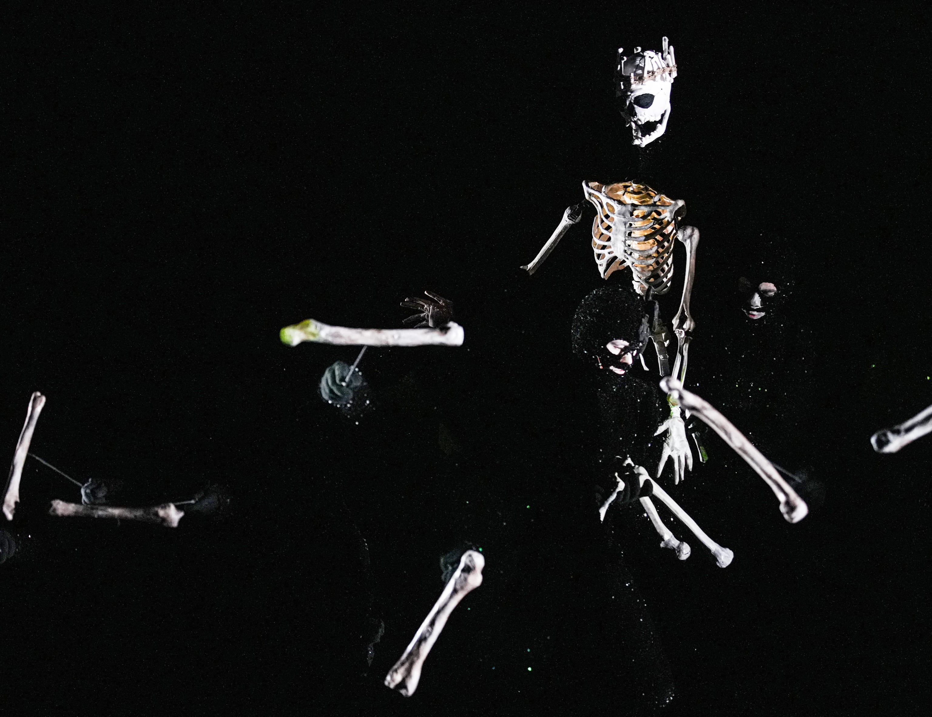 Dead as a Dodo. Foto: Baruch Performing Arts Centre