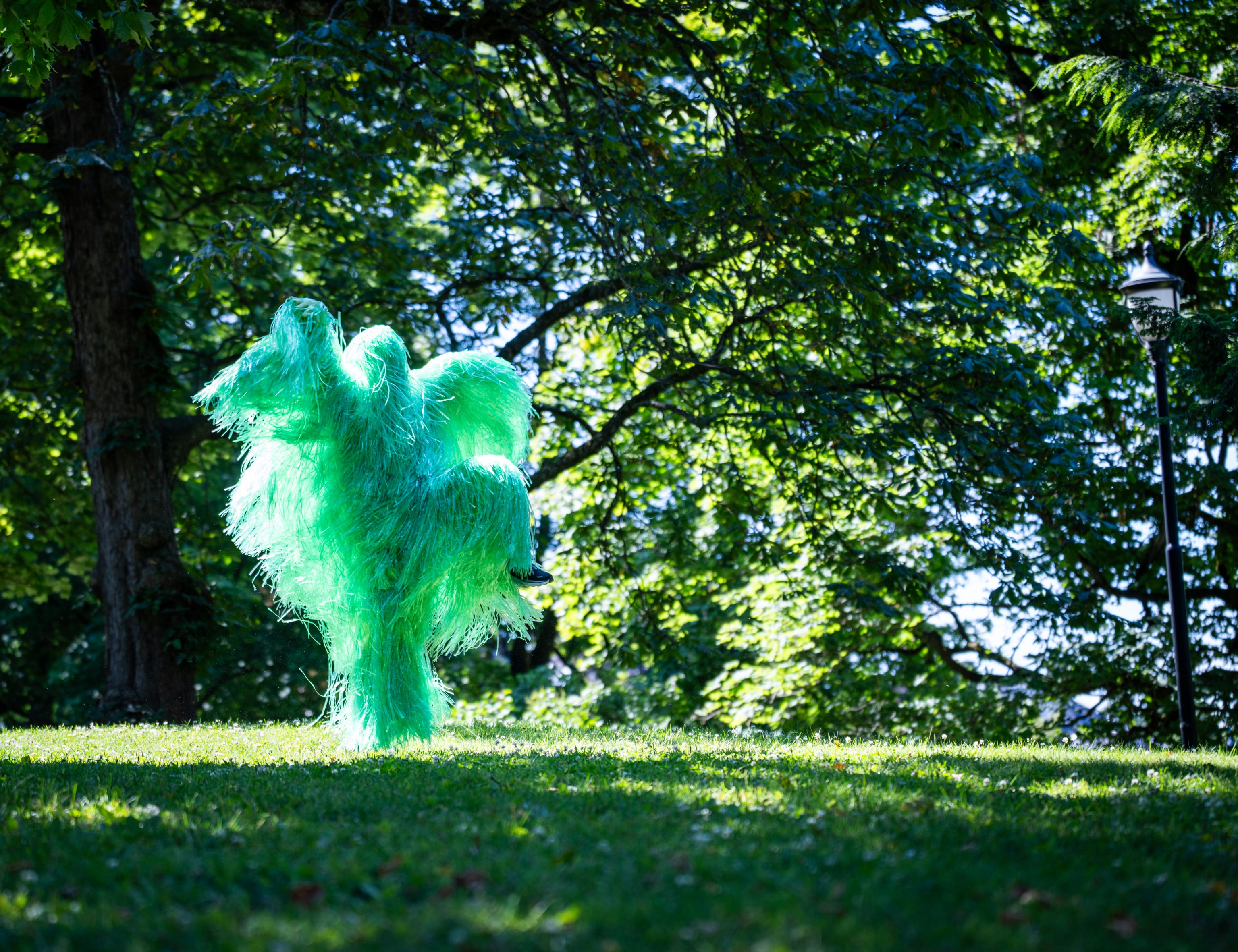 Fløff. Foto: Yaniv Cohen