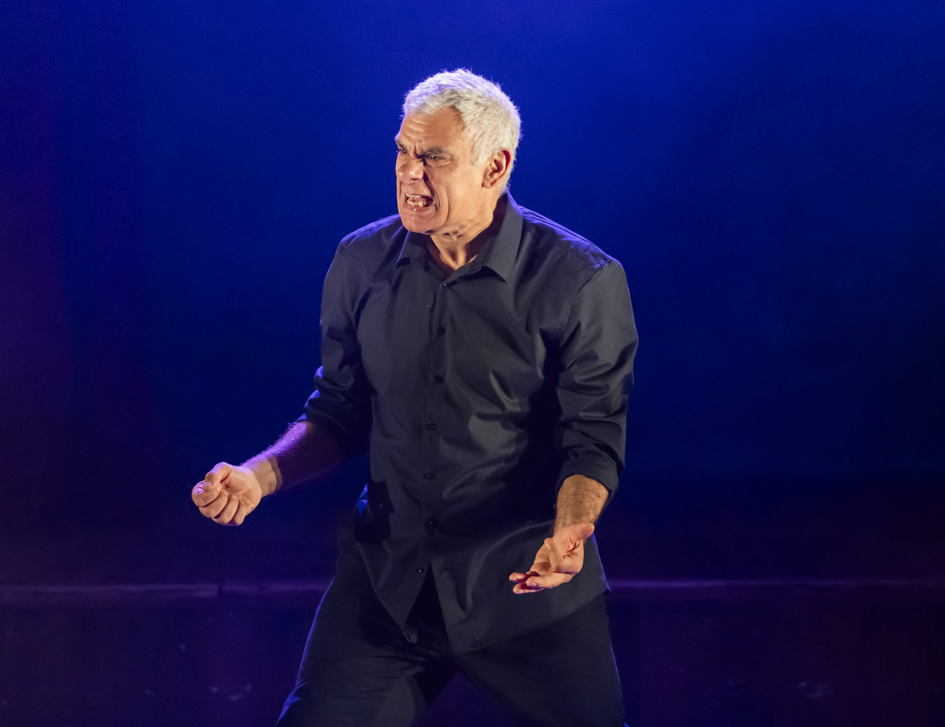 The Play's the Thing. Foto: Tristram Kenton