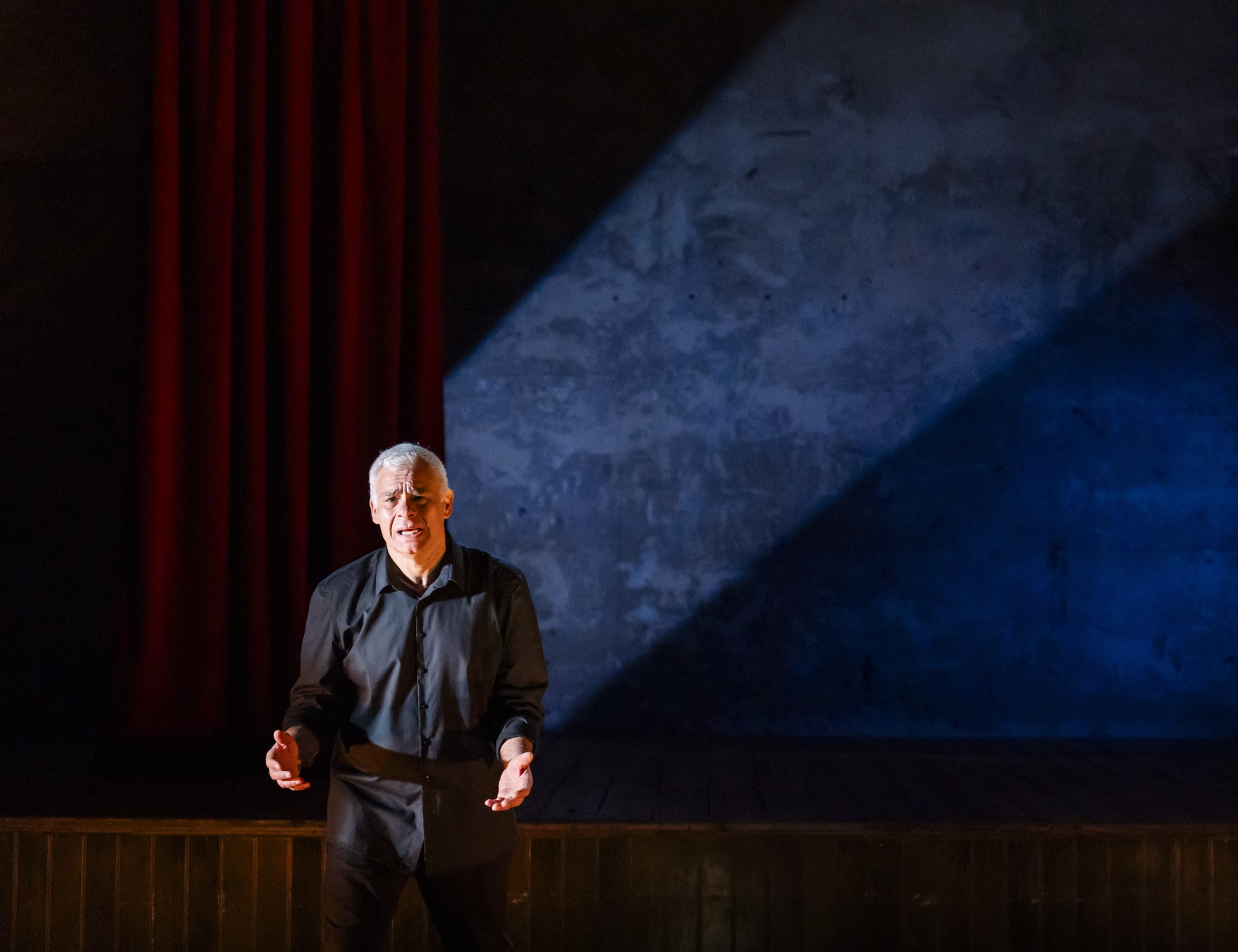 The Play's the Thing. Foto: Tristram Kenton