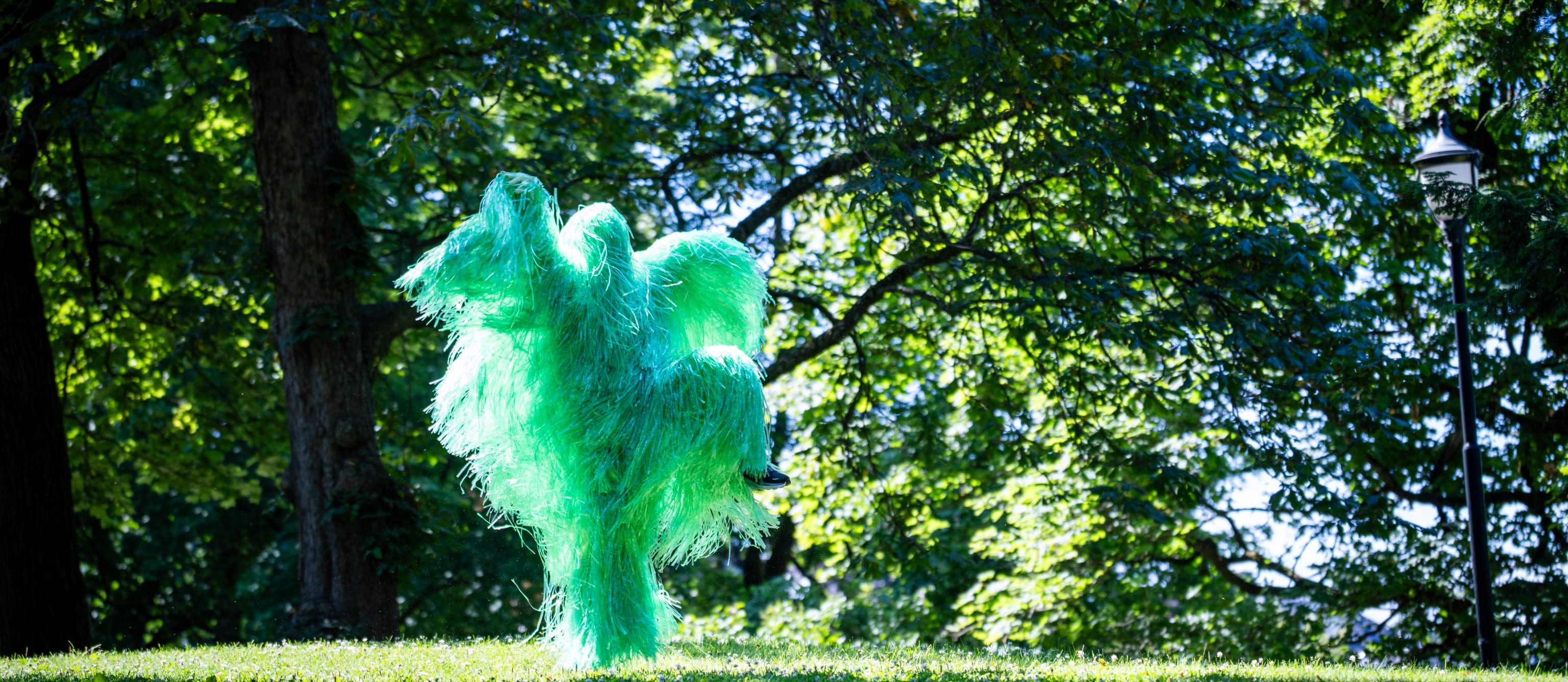 Fløff. Foto: Yaniv Cohen