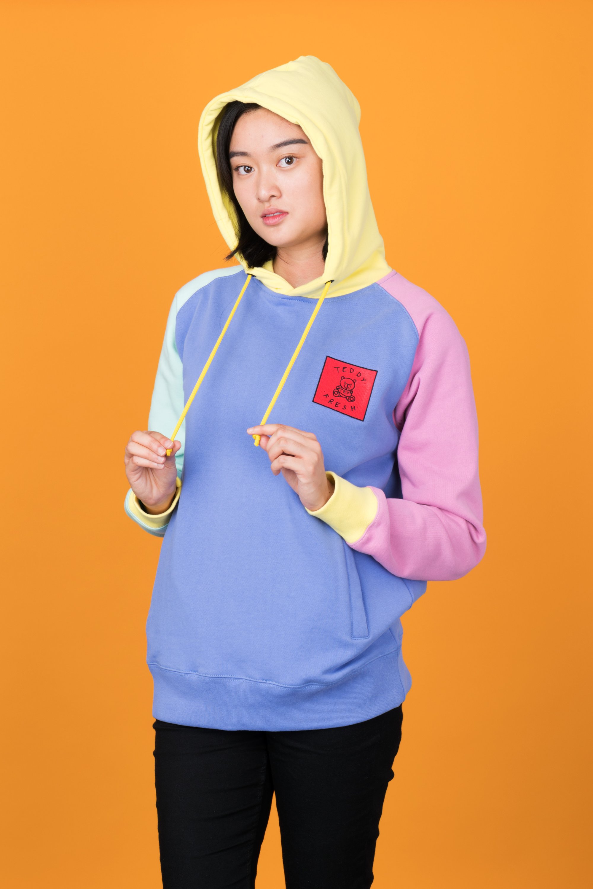 teddy fresh color block